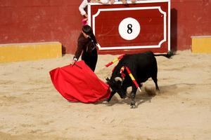Seis orejas en la clase práctica que cerró ayer los festejos taurinos de Fuentenovilla