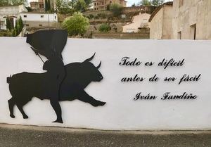 Balance del programa Decora Illana