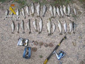 Denuncian a una persona por pesca furtiva con artes prohibidas en Peralejos de las Truchas