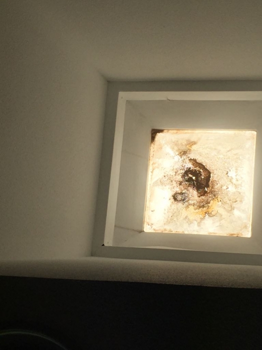 Indignación en Cuenca por el 