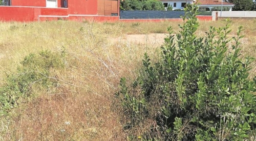 El Ayuntamiento de Guadalajara exige a los propietarios de solares que los mantengan limpios y libres de vegetación para evitar plagas e incendios