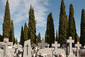 El Ayuntamiento de Guadalajara hace una obra de urgencia en el cementerio para hacer más tumbas por el coronavirus