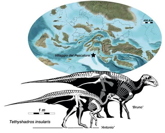 Nuevos especímenes de dinosaurio reescriben la geografía del Mediterráneo hace 80 millones de años