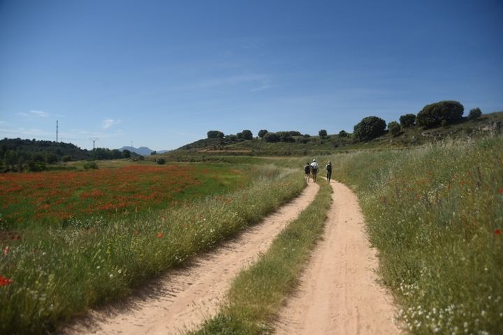 La Diputación de Guadalajara explicará el proyecto del Viaje a la Alcarria en Castellón con motivo del Día de Europa