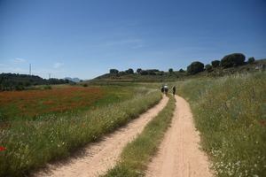 La Diputación de Guadalajara explicará el proyecto del Viaje a la Alcarria en Castellón con motivo del Día de Europa