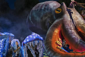 La fotografía 'Directo del mar' gana el XII Concurso Desfile de Carrozas de Azuqueca