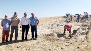 Destacan el interés que ha despertado el yacimiento arqueológico de Driebes