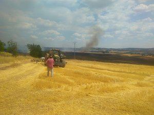 Controlado el incendio sucedido en Masegoso de Tajuña