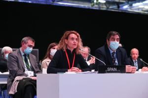 Echániz se convierte en el único español que integra el Comité Ejecutivo Mundial de la Unión Interparlamentaria