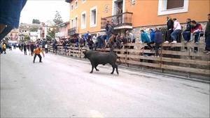Almoguera tendrá toros por el campo si la Junta autoriza esta celebración a su alcalde