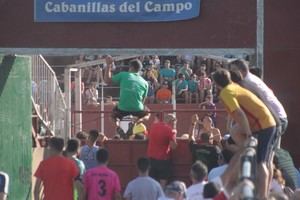 Primera suelta de reses en las Fiestas 2019 de Cabanillas del Campo