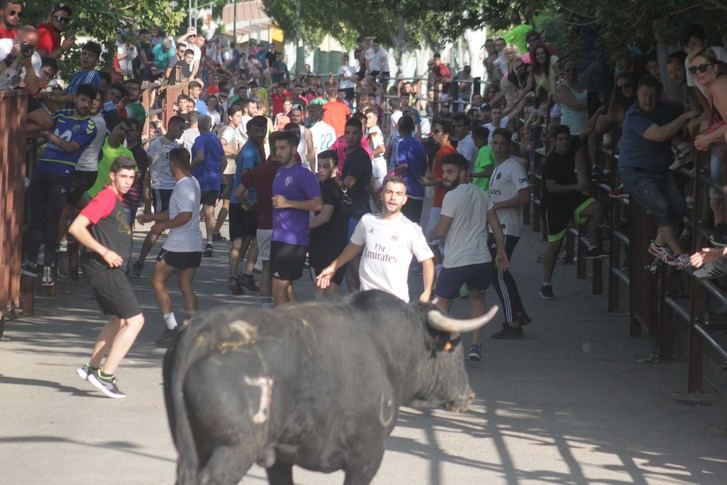 Primera suelta de reses en las Fiestas 2019 de Cabanillas del Campo