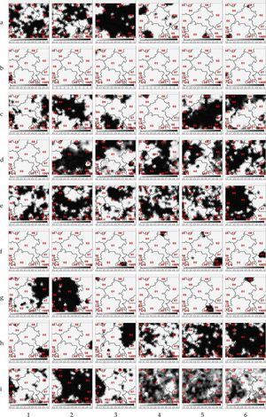 Nueva metodología para el análisis de encuestas de opinión a través de Inteligencia Artificial