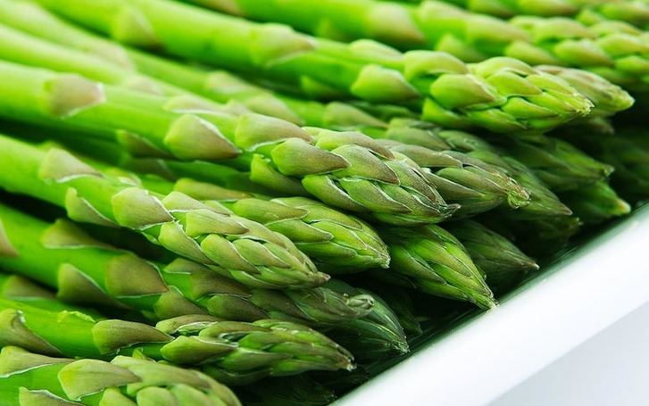 El espárrago comienza a dejar de ser rentable en Guadalajara por saturación del mercado
