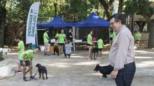 El concejal de Deportes anuncia una relación fructífera con el Club Canicross Guadalajara