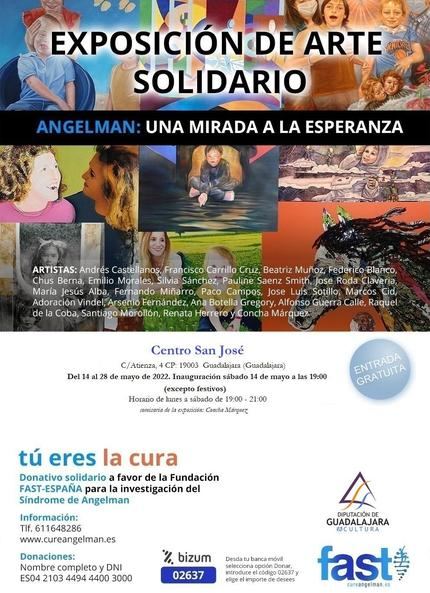 Exposición de arte solidario en la Sala Multiusos de la Diputación de Guadalajara 