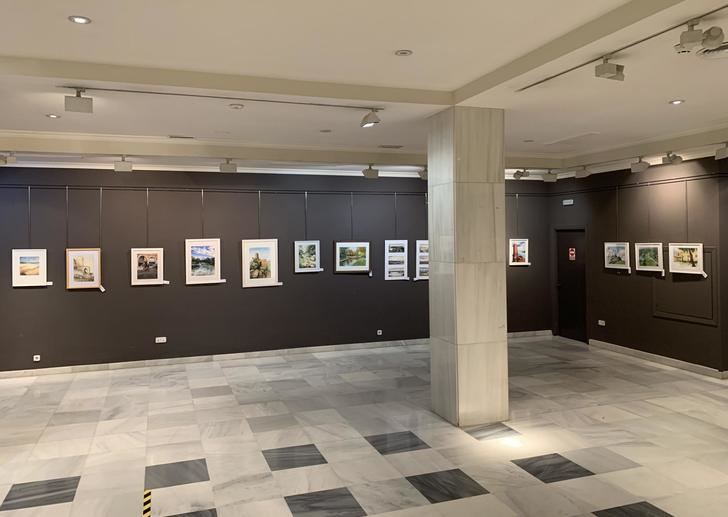 La Sala de Arte ´Antonio Buero Vallejo´ de Guadalajara acoge hasta el 15 de septiembre la exposición de acuarelas ´Paisajes de Guadalajara´