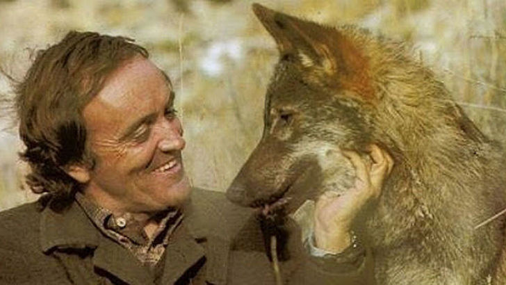 Actividades culturales del Centro Ibercaja Guadalajara correspondiente a la semana del 12 de abril