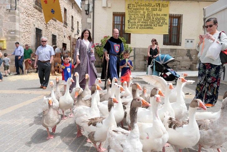 El 6 y 7 de mayo, VIII Feria Medieval de Pareja