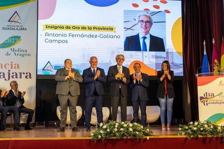 Antonio Fernández-Galiano recibe la insignia de oro de la provincia de la Diputación