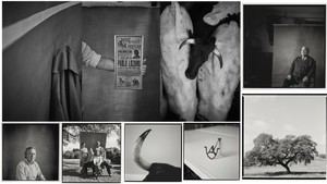 El fotógrafo manchego Pablo Lorente, nominado en los prestigiosos Premios LUX 2024