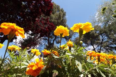 Foto : Eduardo Bonilla