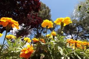 Una ola de calor se avecina para este martes en Guadalajara y Castilla La Mancha