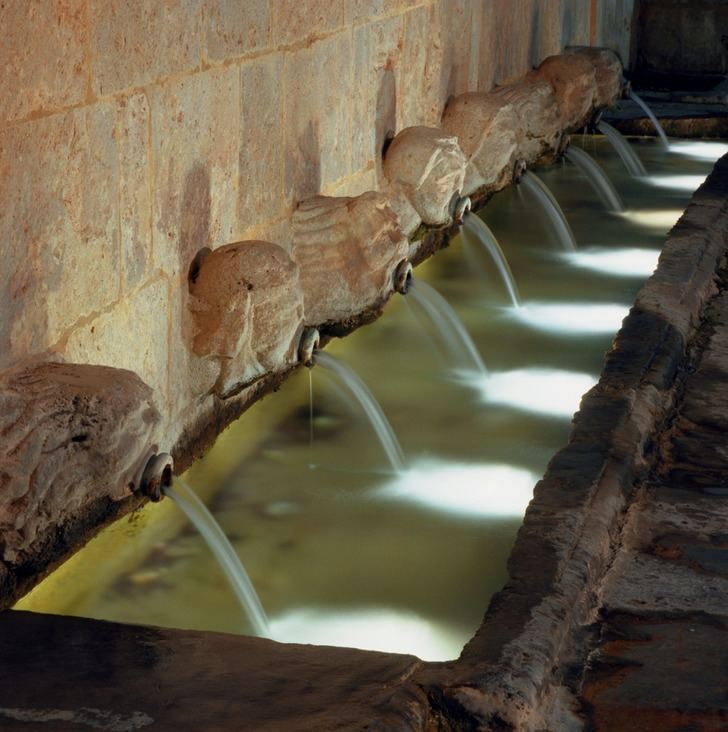 Foto : Javier Castañón