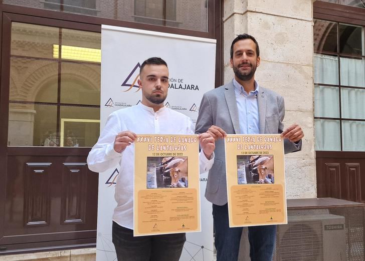 Vuelve la Feria de Ganado de Cantalojas tras el parón por la pandemia