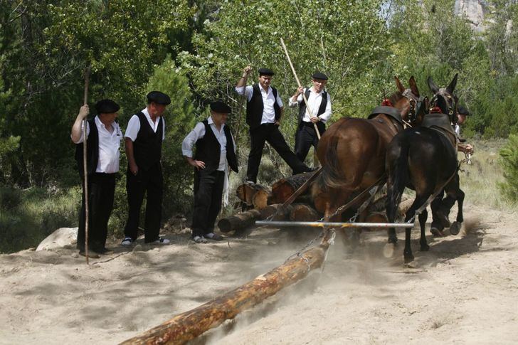 El DOCM publica la resolución por la que se inicia el expediente para declarar Bien de Interés Cultural Los Gancheros del Alto Tajo