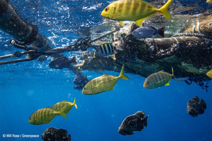 Greenpeace alerta de la presencia de microplásticos en la Antártida