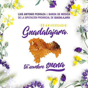 La Banda de Música de la Diputación de Guadalajara felicita el Día de Castilla-La Mancha