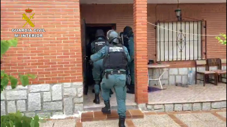 15 detenidos y 1.667 plantas de marihuana incautadas en Toledo