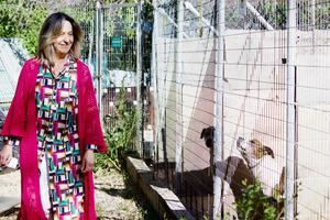 La Camada seguirá gestionando el albergue municipal de animales que ha sido remozado con obras de mejora