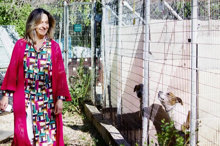 La Camada seguirá gestionando el albergue municipal de animales que ha sido remozado con obras de mejora