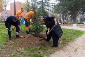 Guarinos: Todos los alcorques vacíos tendrán un árbol y los árboles muertos serán árboles vivos en Guadalajara en este mandato
