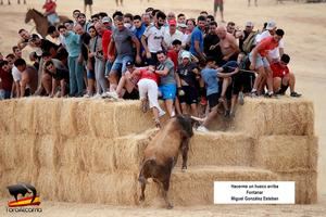 "Hacedme hueco arriba", Primer Premio del 15º Concurso de Fotografía Taurina de ToroAlcarria