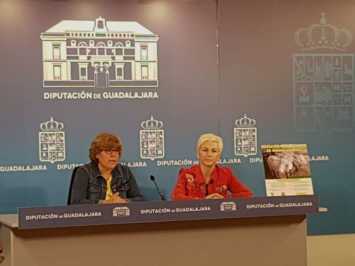 Hiendelaencina celebrará el sábado 16 de junio la XXXIV Feria del Ganado con el apoyo de la Diputación