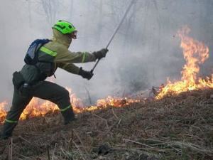 Extinguido el incendio forestal declarado en la provincia de Guadalajara