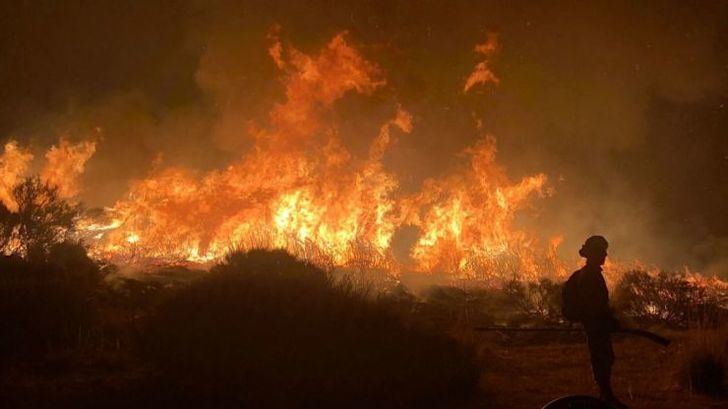 WWF pide al Gobierno de Sánchez un plan de restauración integral y participativo tras los incendios