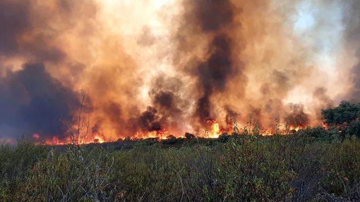 Activos tres incendios forestales en Guadalajara: Budia, Auñón y Driebes
