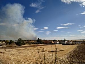 Extinguido el incendio forestal de Guadalajara que comenz&#243; el pasado domingo