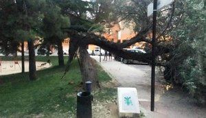 La borrasca &#39;Aline&#39; est&#225; dejando intensas lluvias y fuertes rachas de viento que est&#225;n provocando numerosos incidentes en Castilla La Mancha