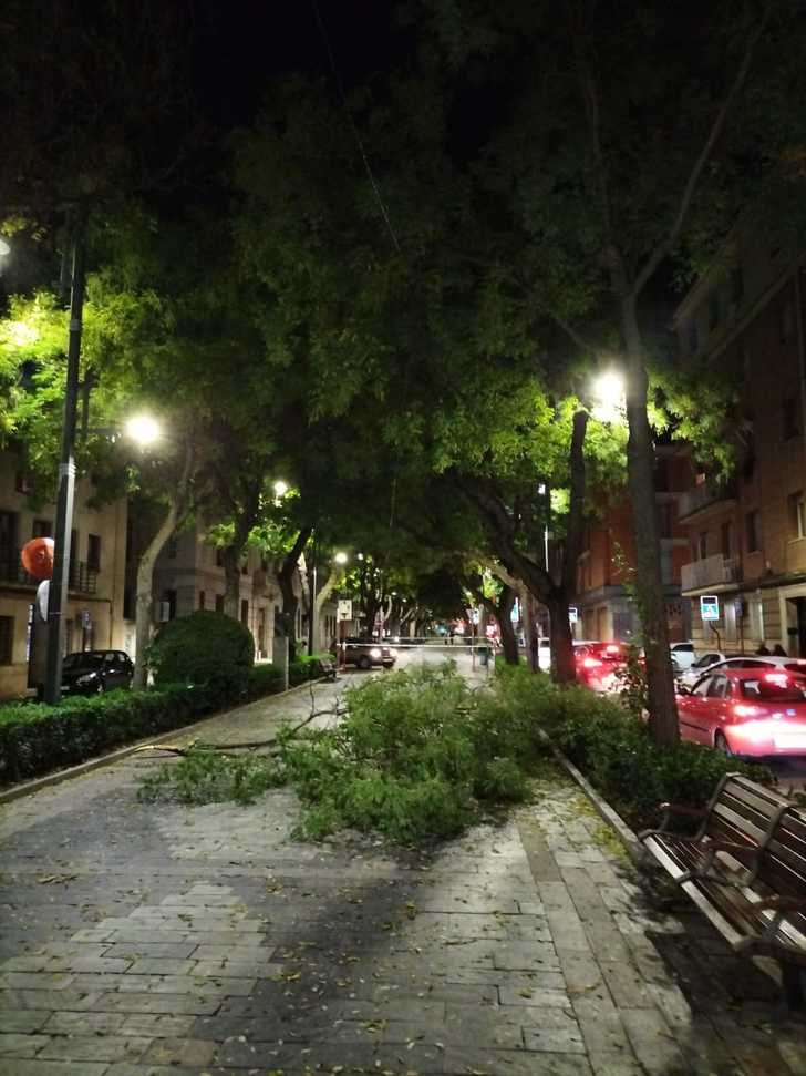 La borrasca 'Domingos' trae más lluvia y viento en las próximas horas