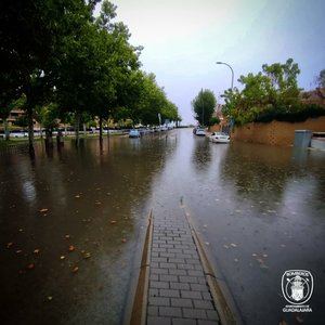 Caída de árboles, ramas desprendidas, balsas de agua afectando al tráfico y algún garaje inundado son las incidencias más reseñables en Guadalajara