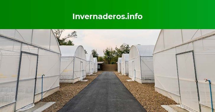 Guantes y ropa agrícola para invernadero