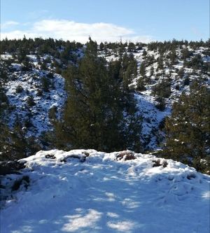 CAOS EN OCEJÓN : Tres días después de la nevada no ha pasado ni una quitanieves...y no puede enterrar a su madre que falleció el día 7 de enero