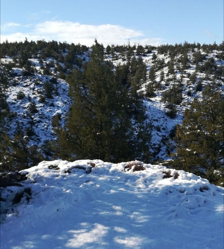 CAOS EN OCEJÓN : Tres días después de la nevada no ha pasado ni una quitanieves...y no puede enterrar a su madre que falleció el día 7 de enero