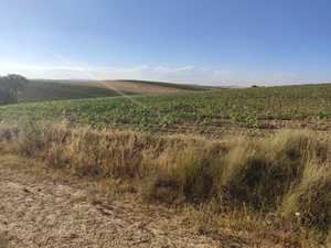 El Defensor del Pueblo da la razón al PP de Jirueque por la falta de transparencia del alcalde socialista