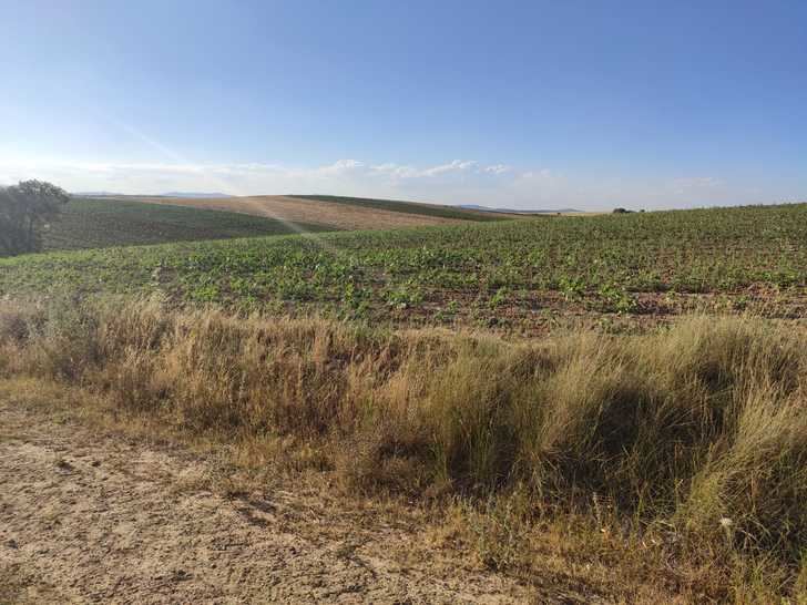 El Defensor del Pueblo da la razón al PP de Jirueque por la falta de transparencia del alcalde socialista